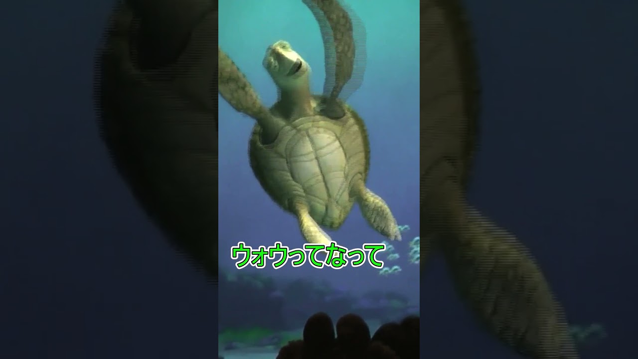 130年前何をしていましたか？【タートルトーク】東京ディズニーシー