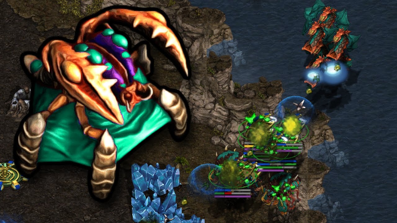 Queen Meta? The Future???