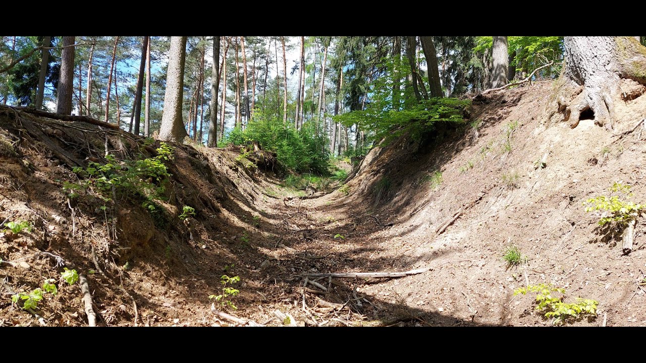 Teichrunde im wunderschönen grünen Burgwald :-)