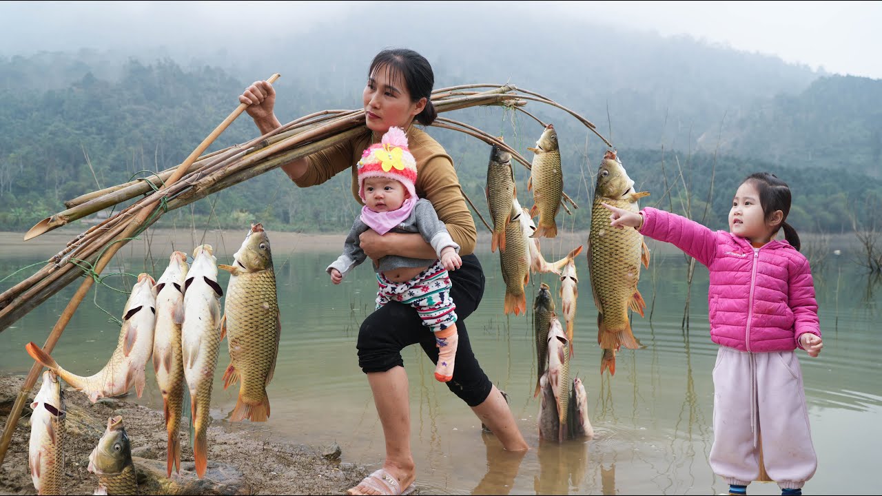 How to catch giant carp in a natural fish pond - Happy life in the forest - Lý Thị Nhim
