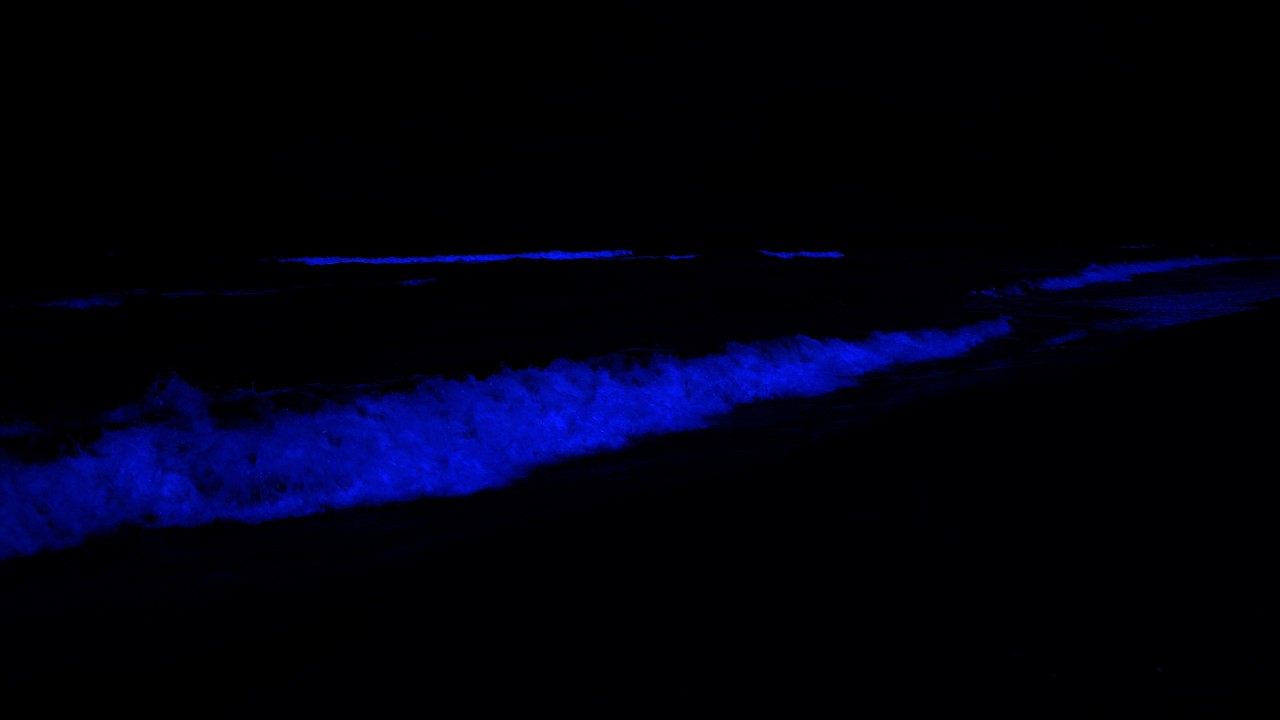 No Ads Sleep Instantly in Under 5 MINUTES 💤 Ocean Waves for Relieve Stress & Sleep Deeper Tonight