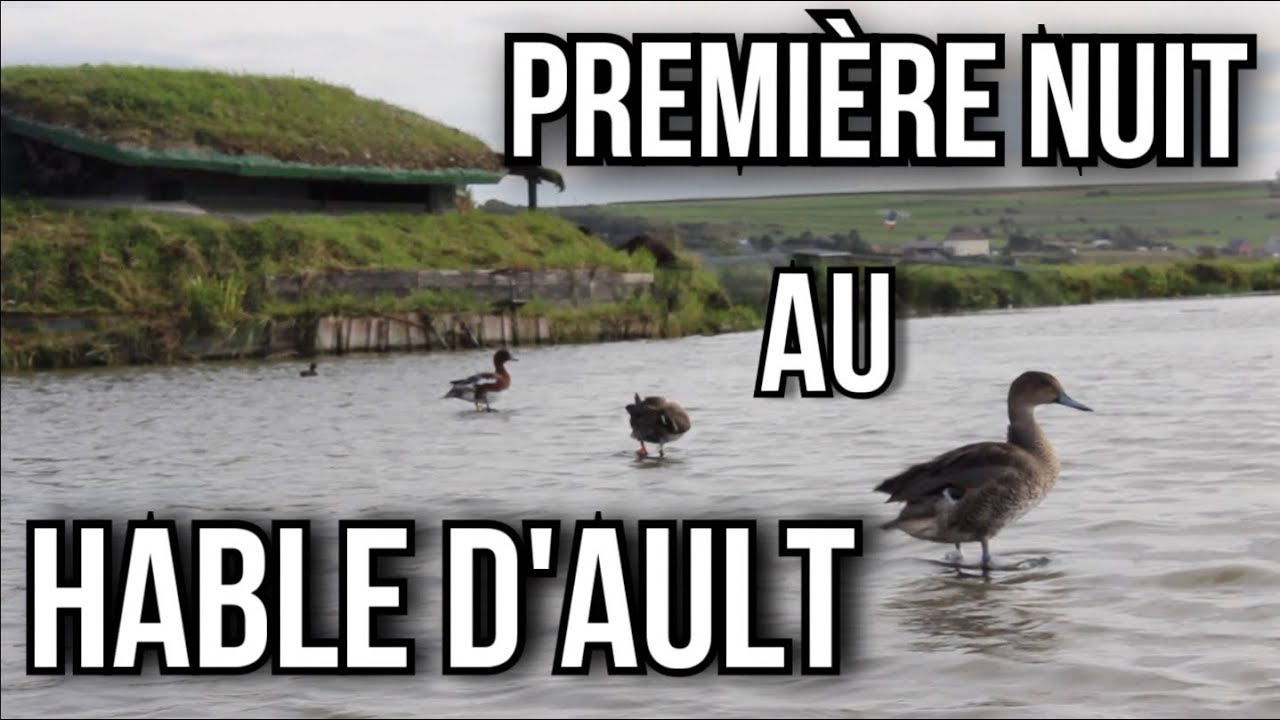 Nuit de début de saison au Hable d'Ault ! - Romain Chasse Passion