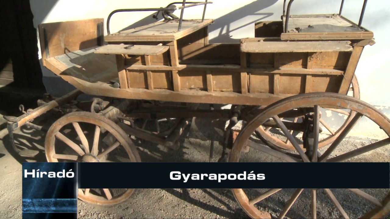 Gyarapod&aacute;s