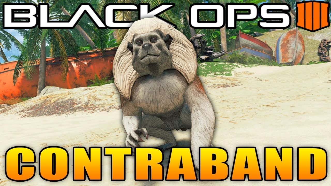 Black Ops 4: Contraband Secret Backstory (Easter Egg)