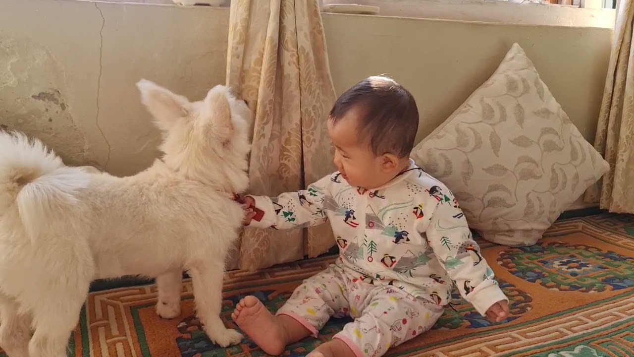 baby yangchenma with lulumo