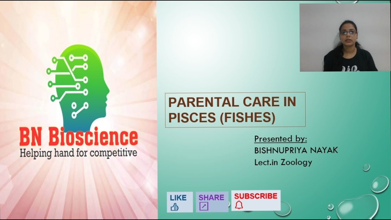 PARENTAL CARE IN FISHES IN ENGLISH.