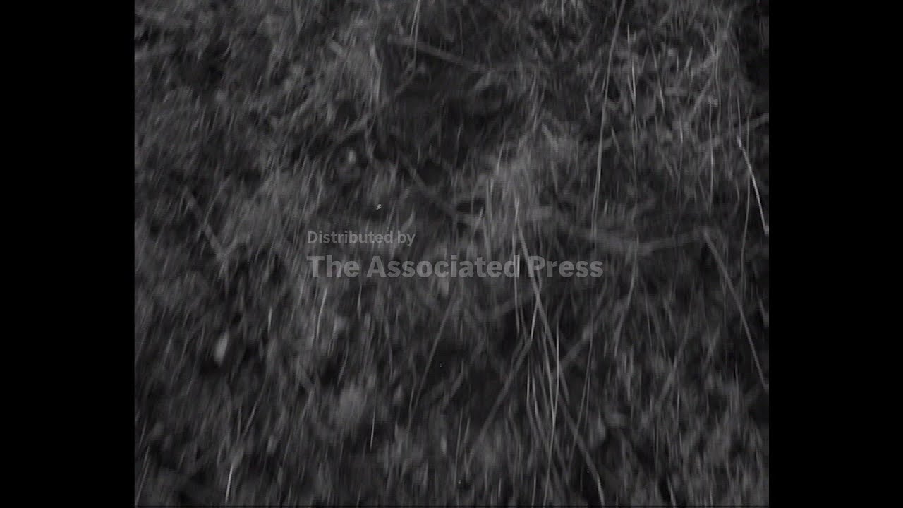 THE WORLD MOURNS - SIR WINSTON CHURCHILL - NO SOUND