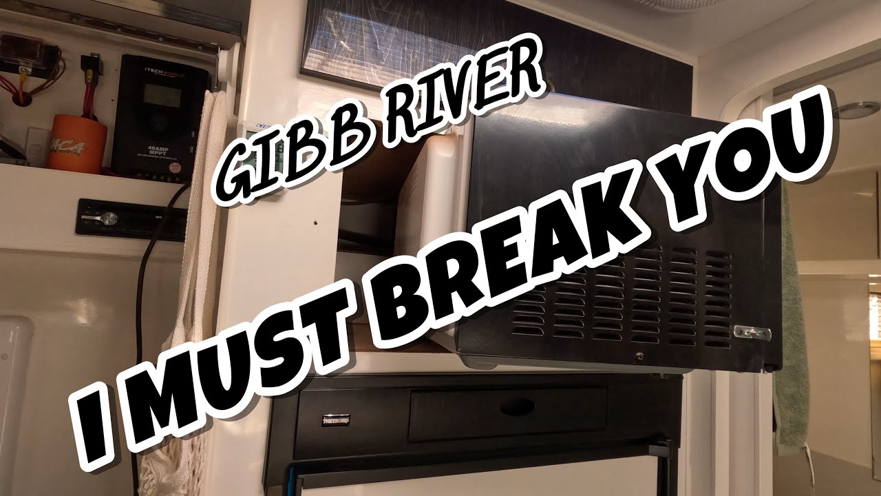 THE GIBB IS SHOWING WHO IS BOSS.