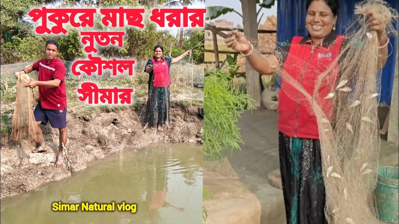 # কতো পুটি মাছ পেলাম আজ -পুকুরে দুই রকম ভাবে মাছ ধরা হলো -  বড় ঝিলে জাল পাতা হল #