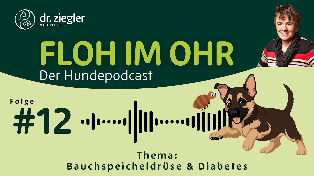 #012 | Bauchspeicheldrüse und Diabetes bei Hunden & Katzen mit Dr. Jutta Ziegler