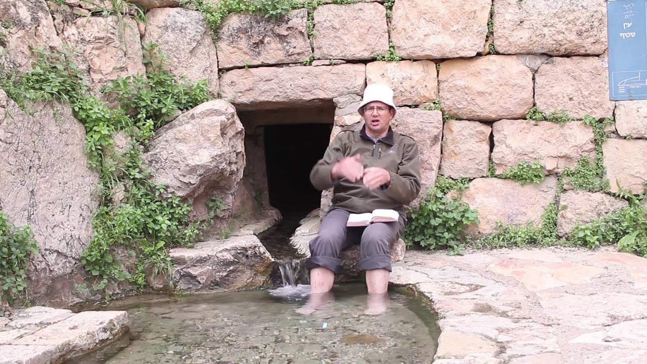 מכללת שאנן סיור תנך סטף ד"ר דוד שניאור