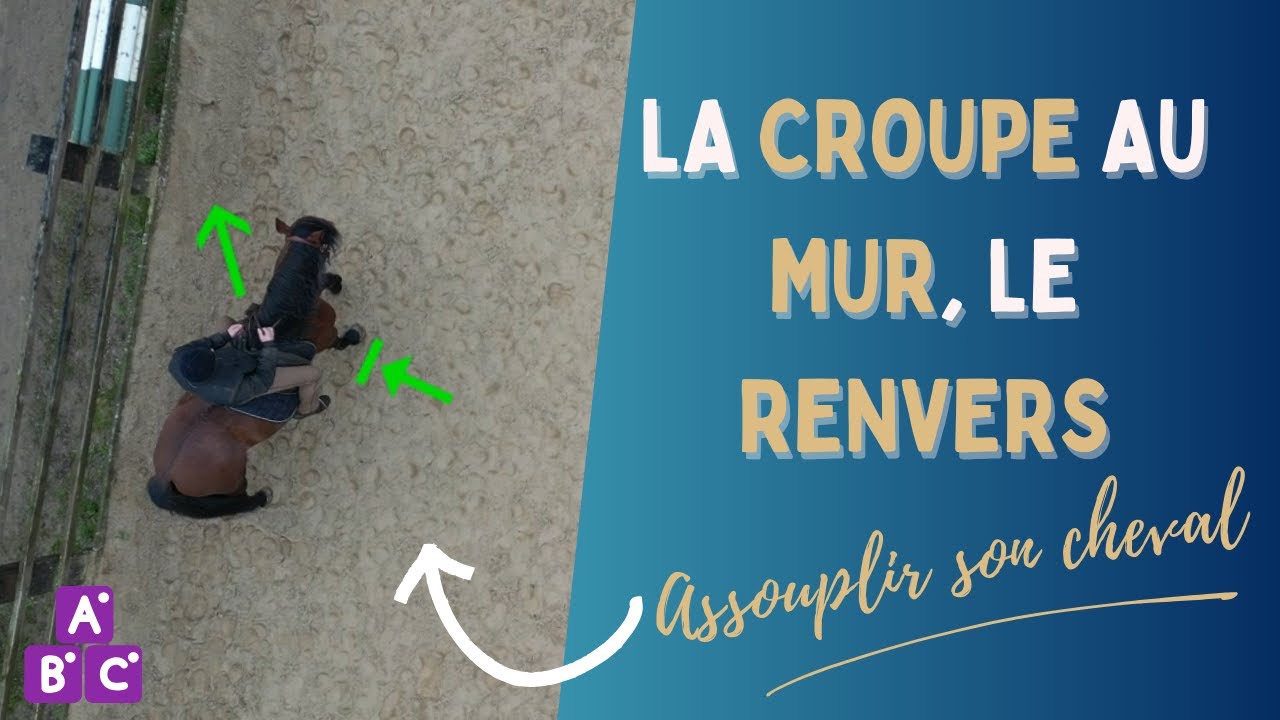 ⭐ La croupe au mur, le renvers, assouplir son cheval ⭐