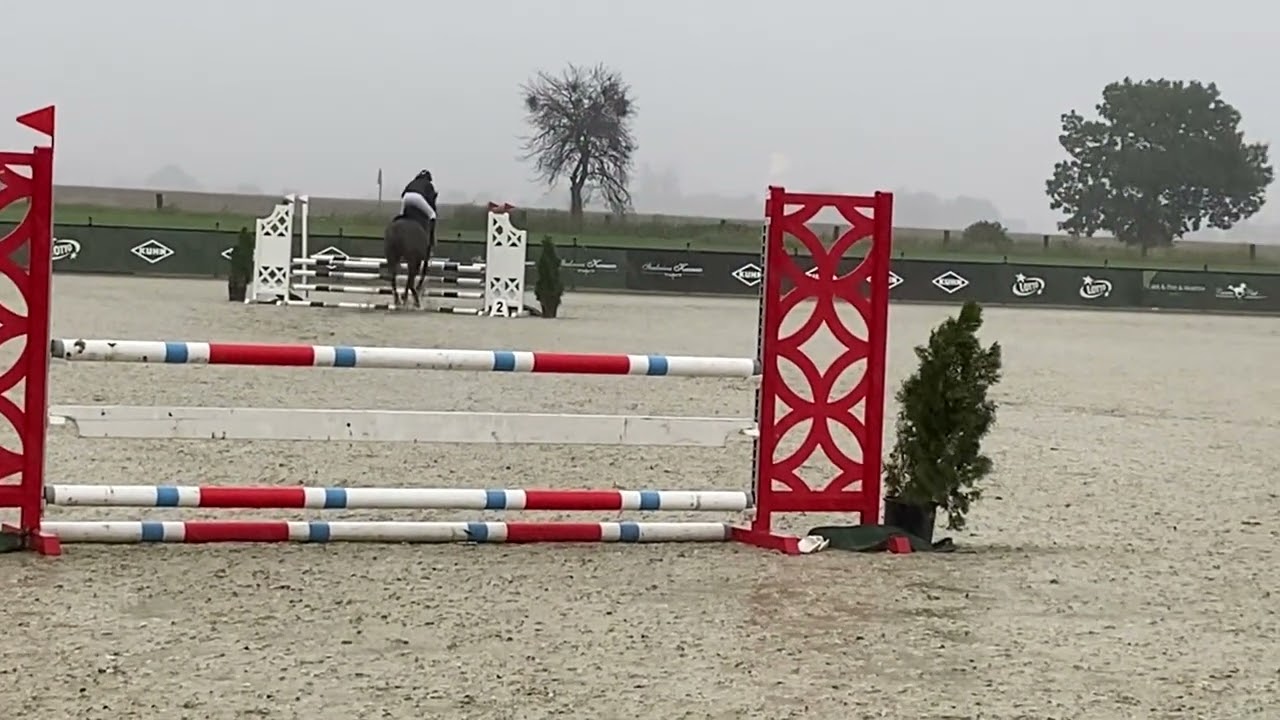 Zawody Baborówko Equestrian // WONDERLAND