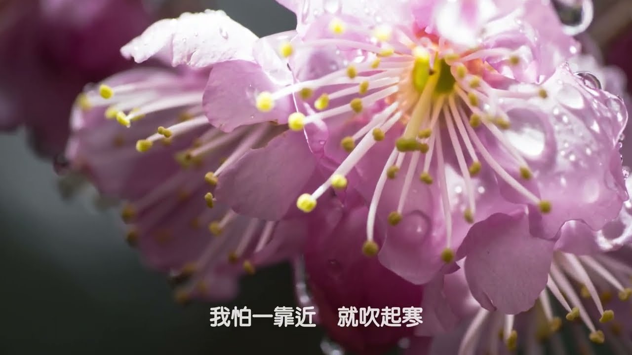 立春，還不敢靠太近(24節氣系列)