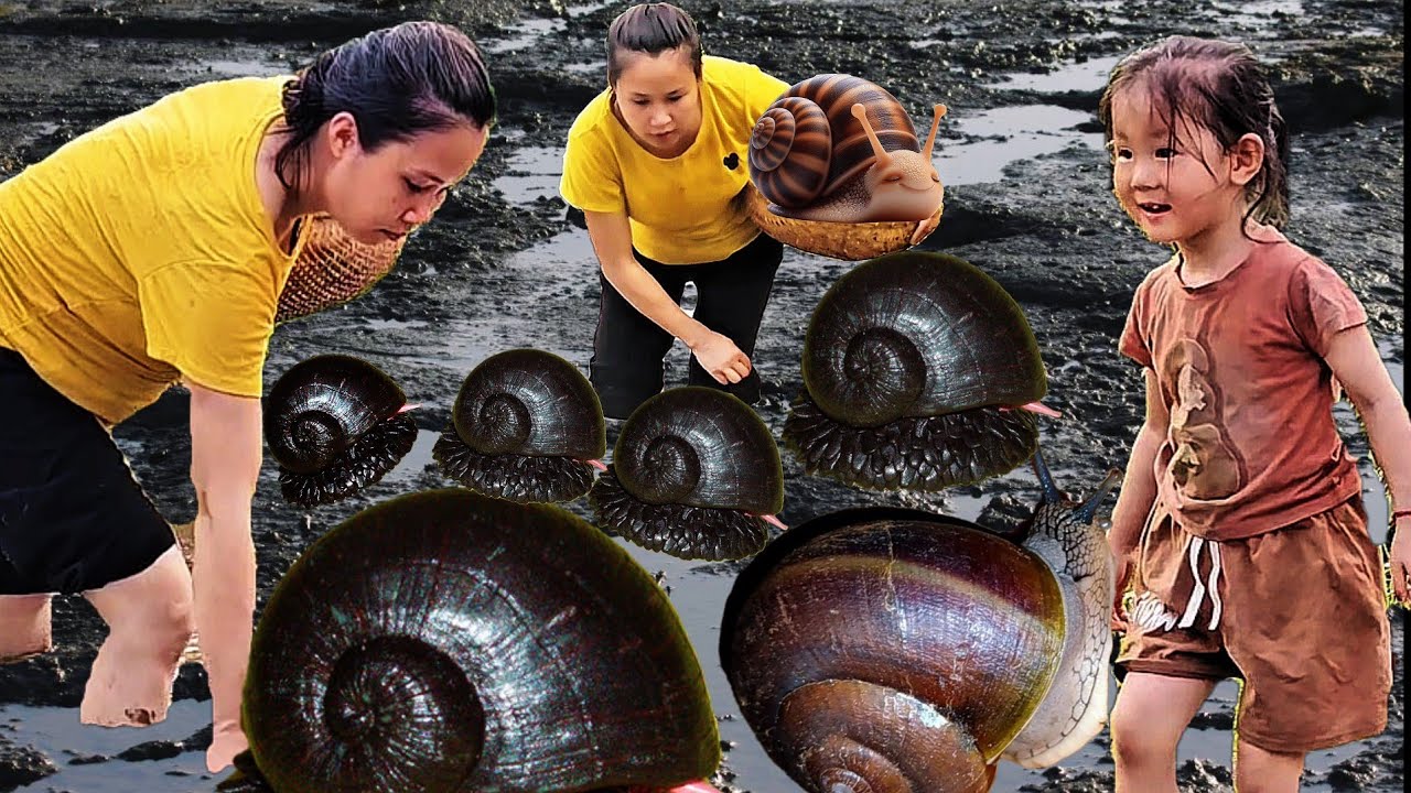 Single Mom Finds Giant Snail in the Mud While Pregnant—Raw Survival