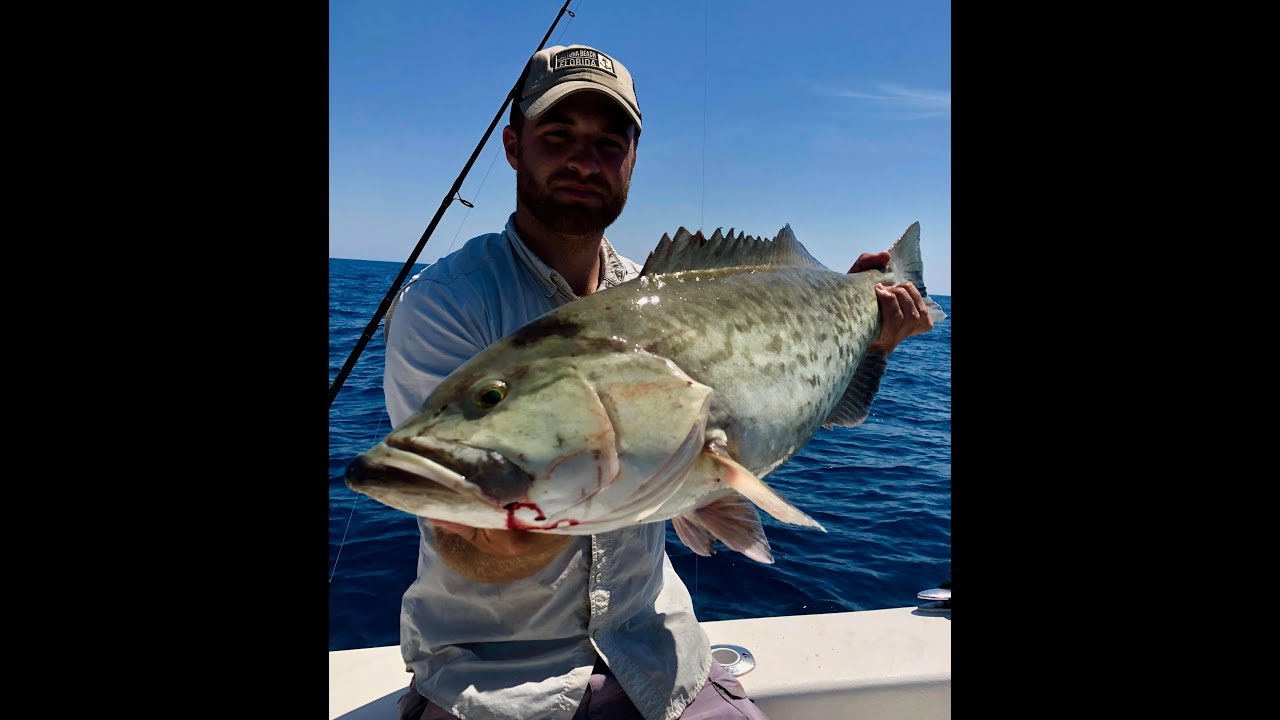 Crystal River Big Gag Grouper and Red Snapper Fishing on the 27' Ameracat!