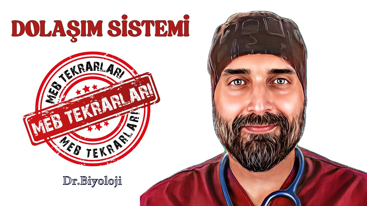 MEB Tekrarları | Dolaşım Sistemi | Dr. Biyoloji