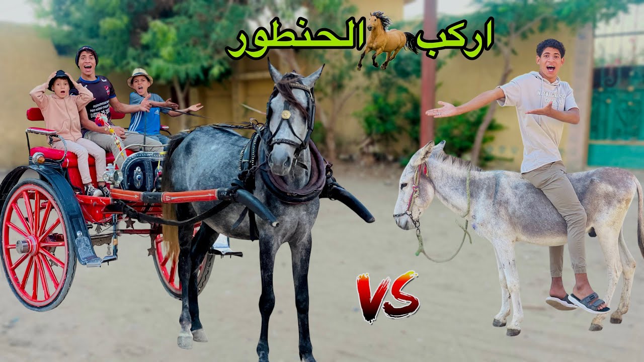 لما تشتغل انت واخوك الصغير علي حنطور في السياحة 🐎😂| علاء حسين