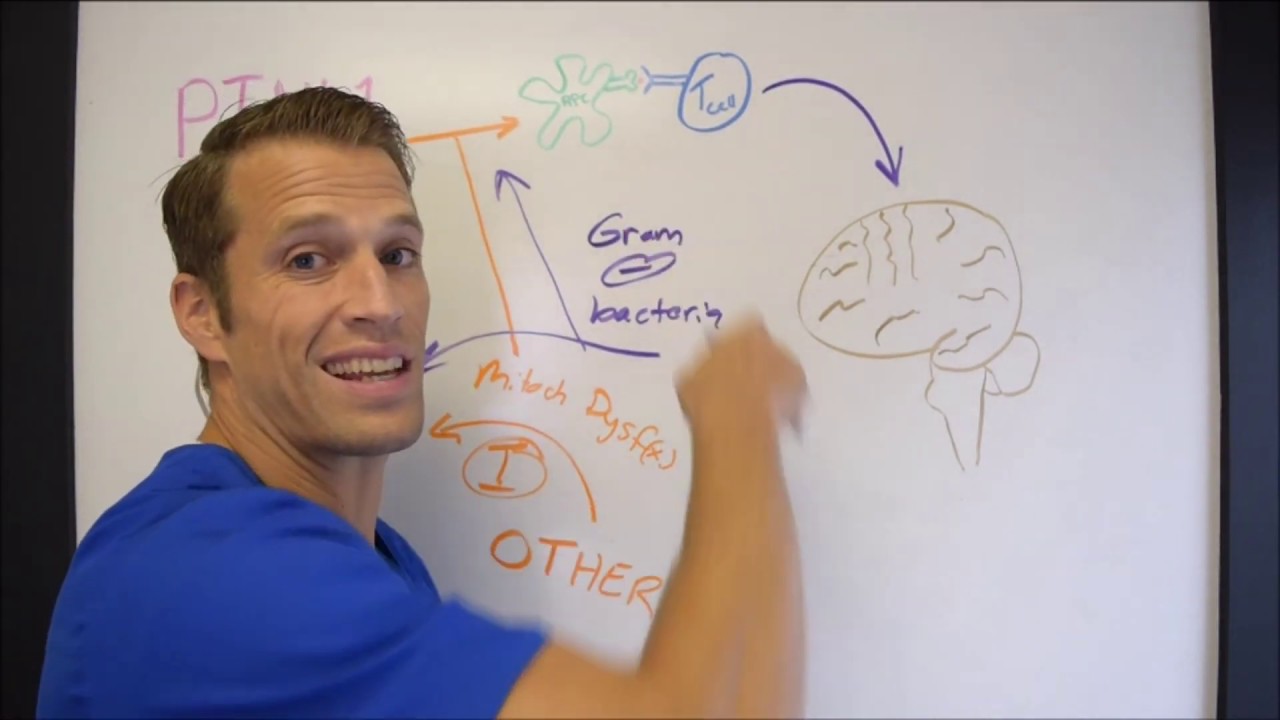 Parkinson's Disease, Gut Infection, Autoimmunity, and the Gut-Brain Axis - Functional Nugget #434