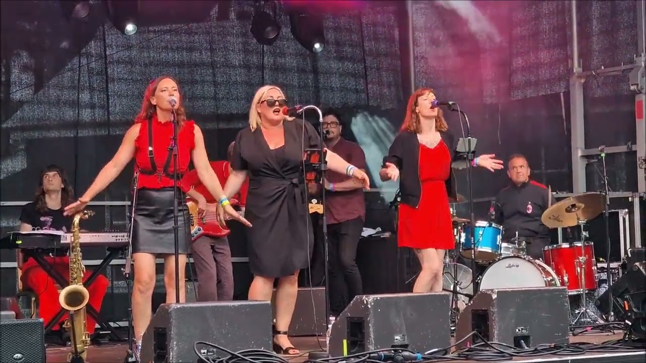 The Croupiers at Weyfest 2024