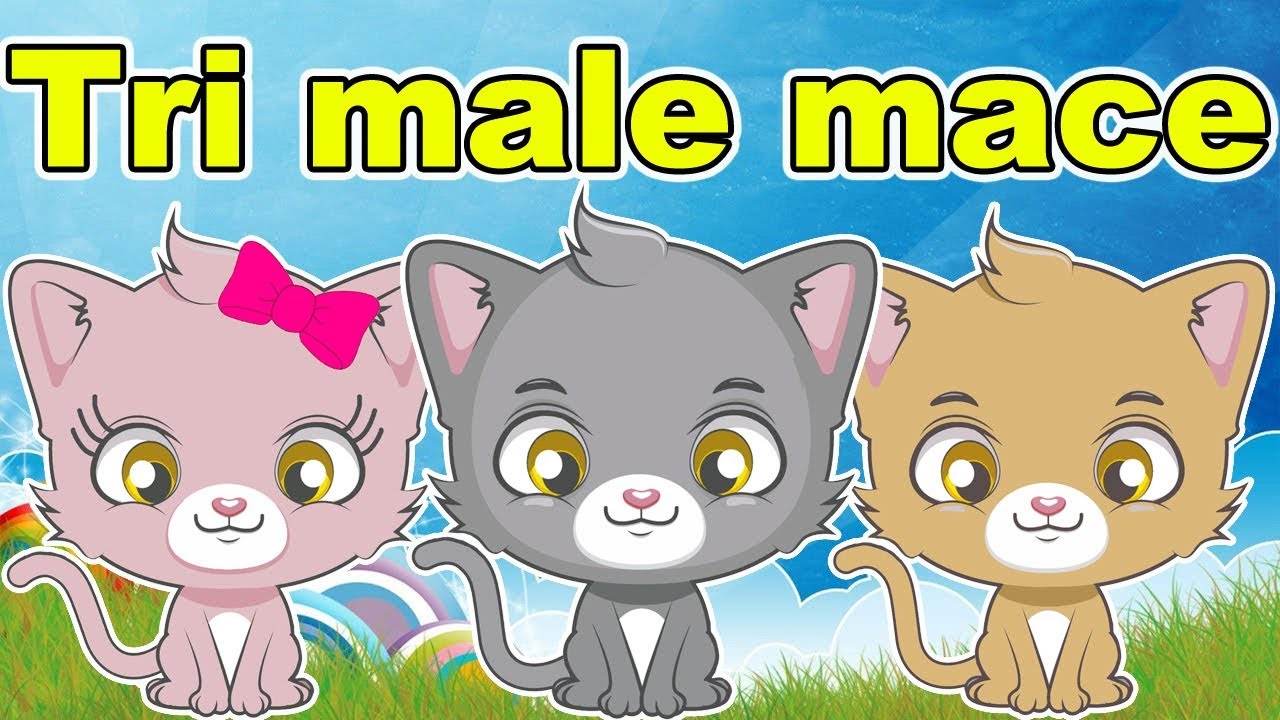 Tri male mace - Pesmica za decu | Pesma o životinjama | Životinje za decu | Three Little Kittens