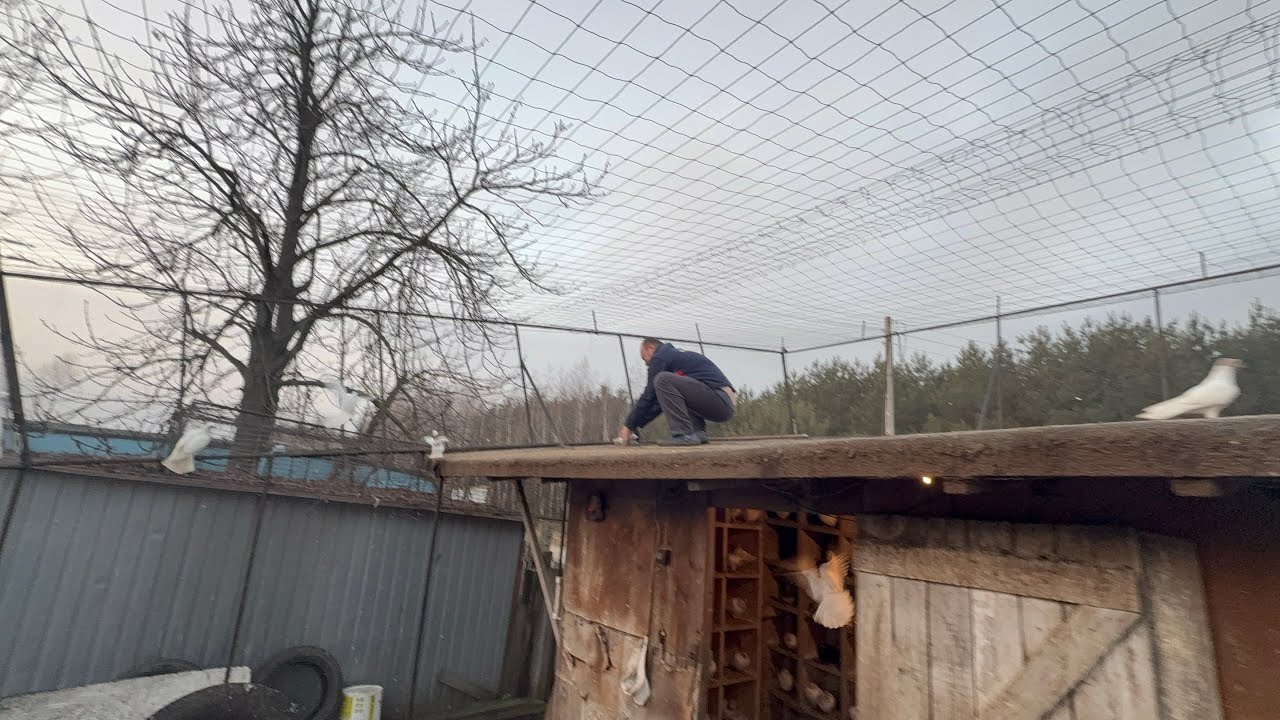 18 SZTUK NA +💪💪 SĄSIAD OBLATUJE
