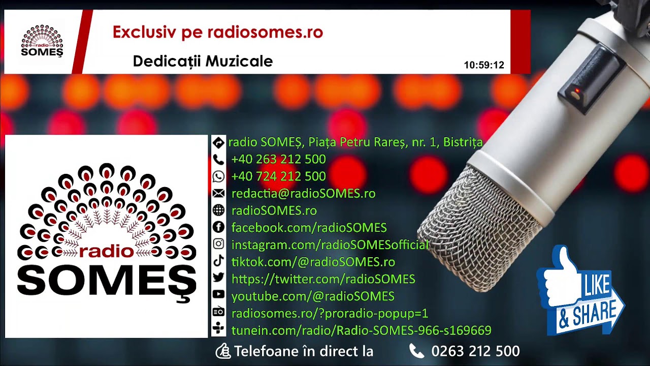 Dedicatii Muzicale