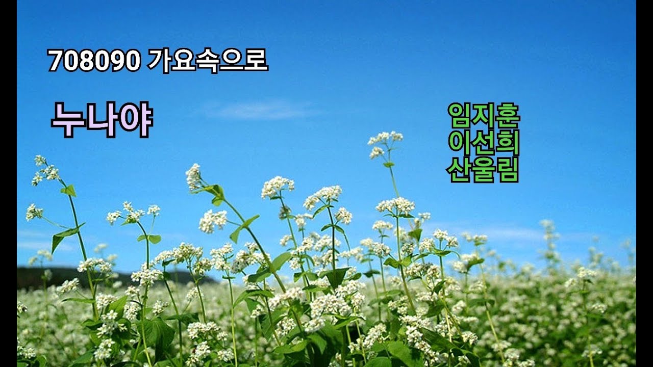 누나야 - 임지훈,이선희,산울림
