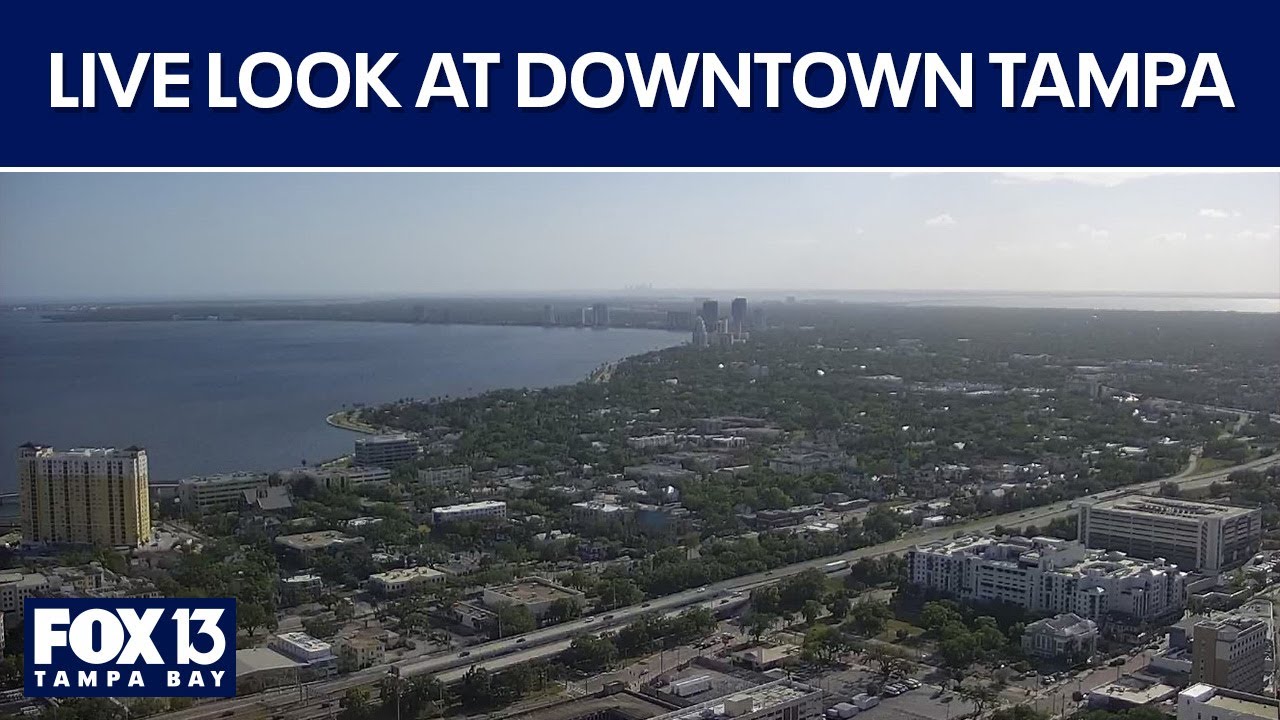 Live view of Tampa