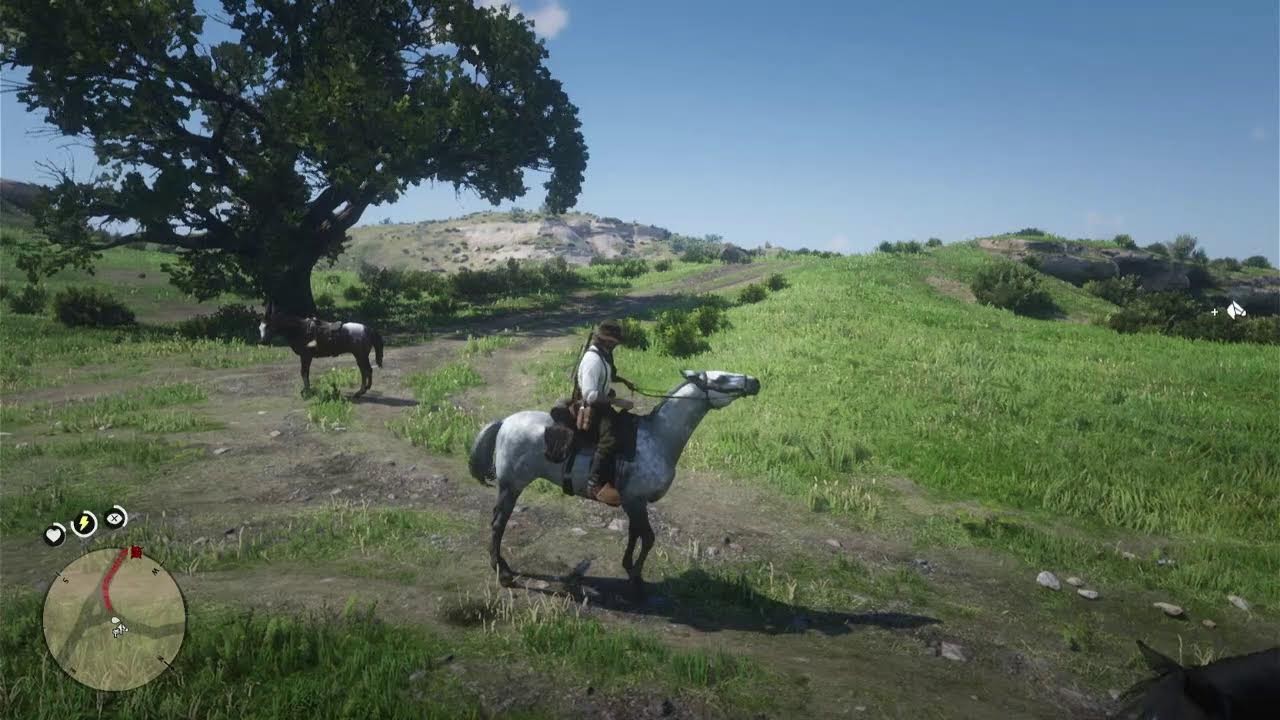 Live Streaming ! RDR 2 ! XBOX Series S !