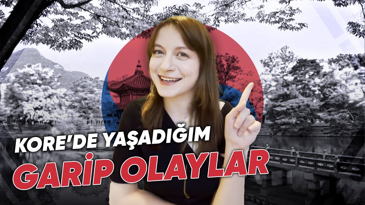 Kore’de Yaşadığım Şok Edici Olaylar All Star