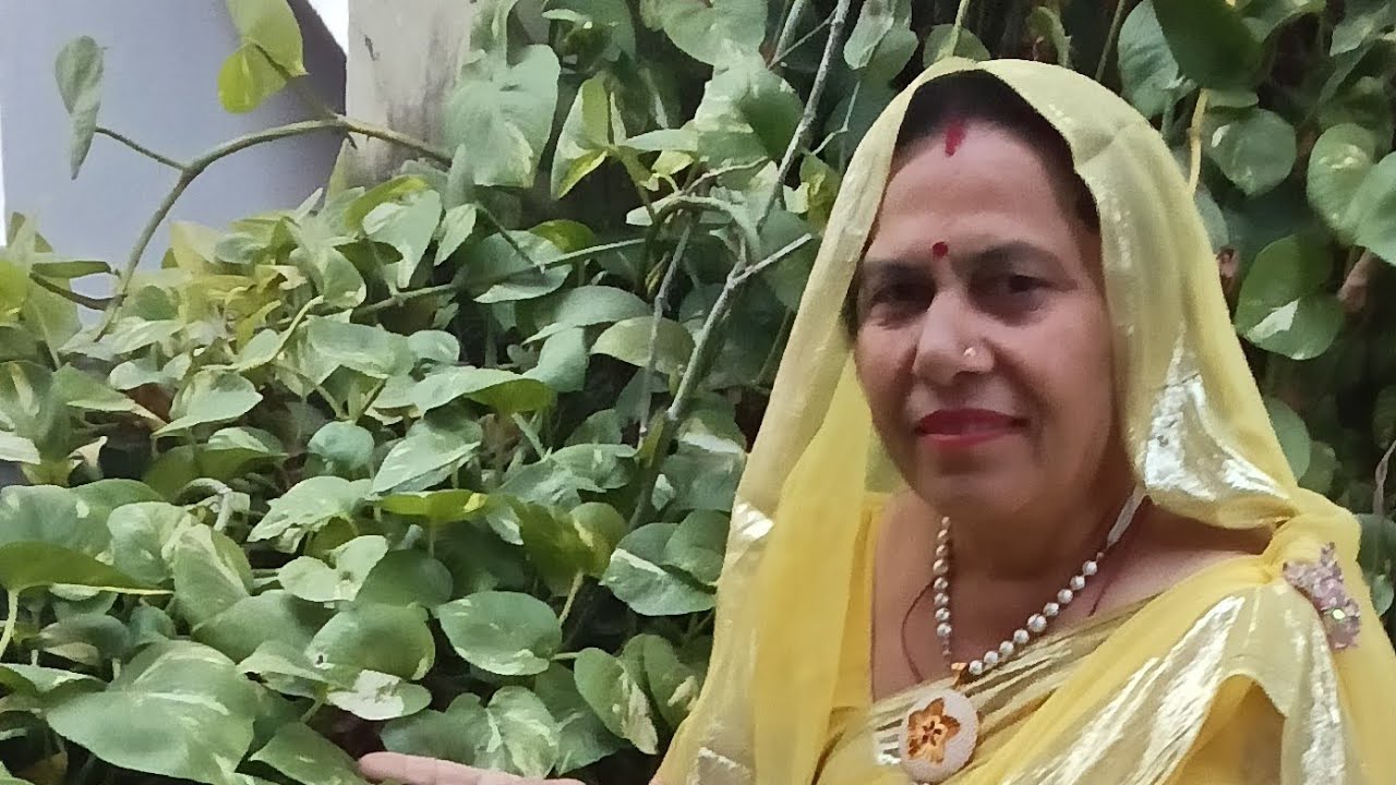 कान्हा जी का भजन 