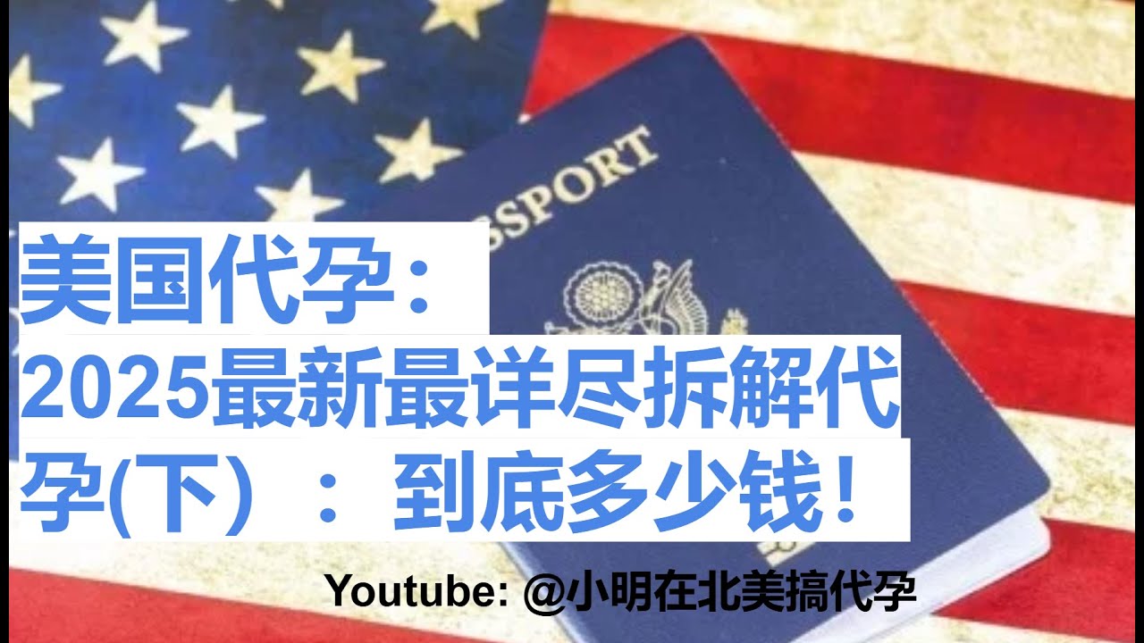 小明在北美搞代孕73 - 美国代孕-2025最新最详尽拆解代孕-下-到底多少钱！