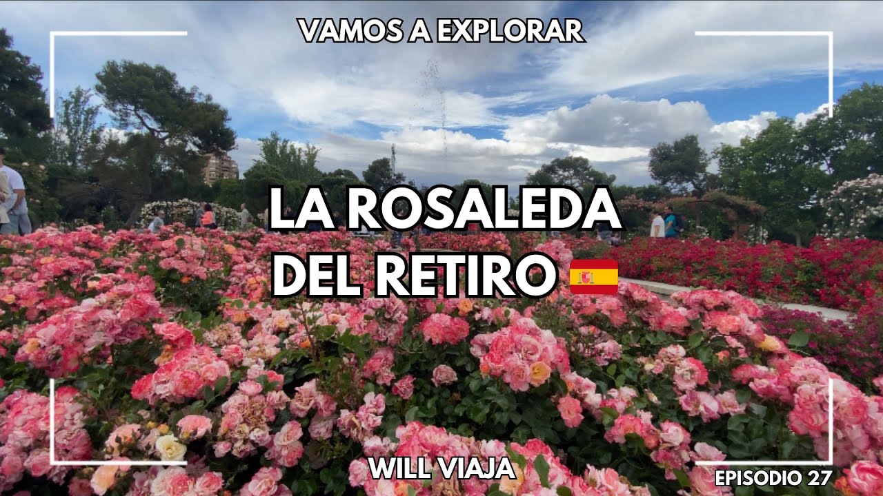 As&iacute; luce la Rosaleda del Retiro: Belleza y naturaleza en Madrid 🇪🇸