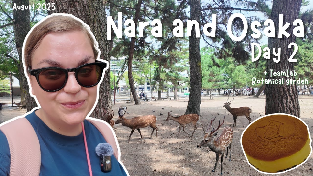 NARA | Deer feeding | TeamLab Botanical Garden | Rikuro's Cheesecake | Gachapon | August 2025