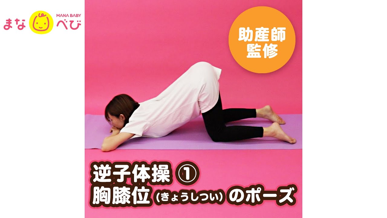 《逆子体操①》助産師による「胸膝位（きょうしつい）体操」－わかりやすい解説つき