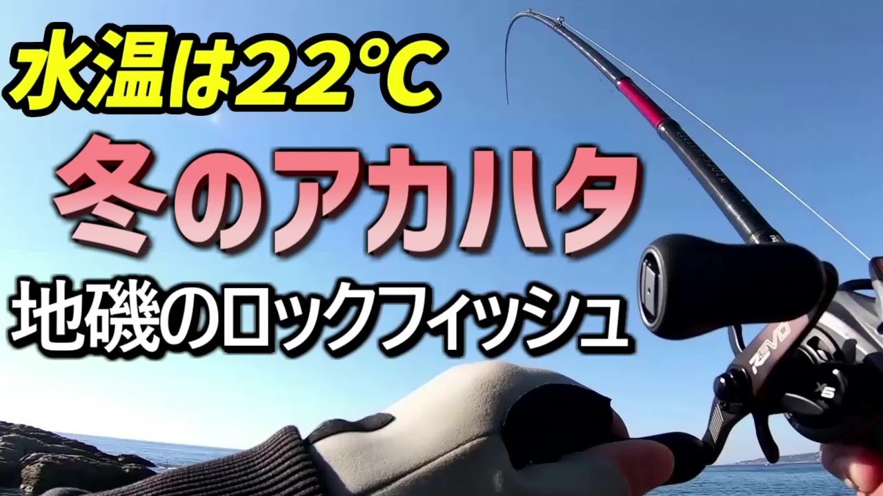 和歌山の冬の地磯でロックフィッシュ