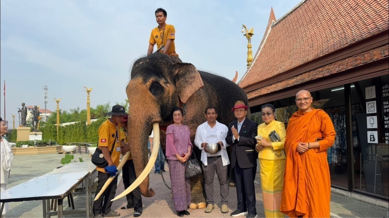 แจ้งข่าวรวมพล‼️ #พ่อพลายเอกชัย #เมืองโบราณ สมุทรปราการ #The Emperor of Elephant.14/2/2568