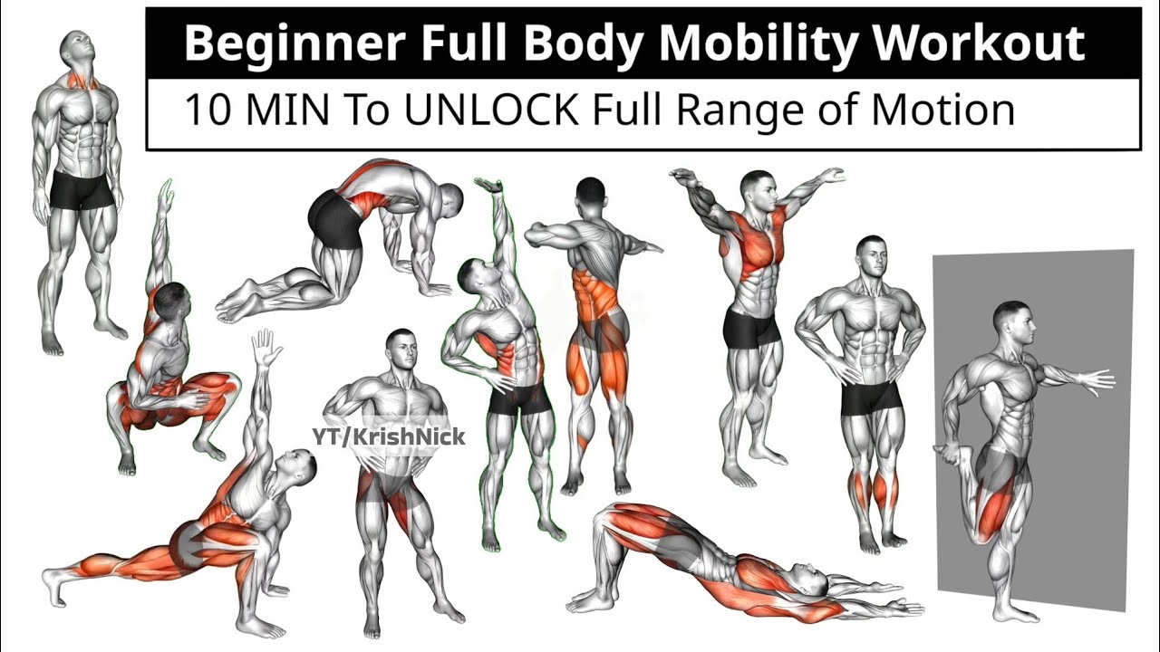 Beginner Full Body Mobility Workout | 10 MIN To UNLOCK Full Range of Motion