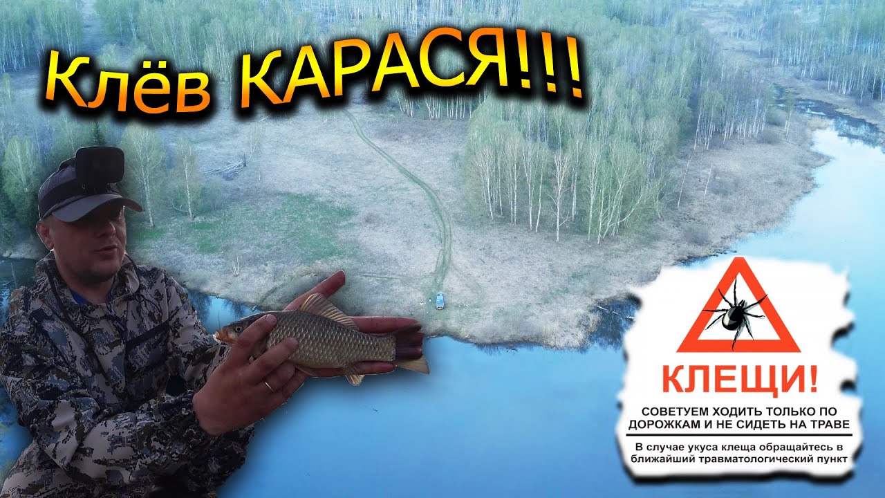 Клёв карася!!! Рыбалка на затопленном ПРУДУ!!! Саня поймал КЛЕЩА🕷!!!