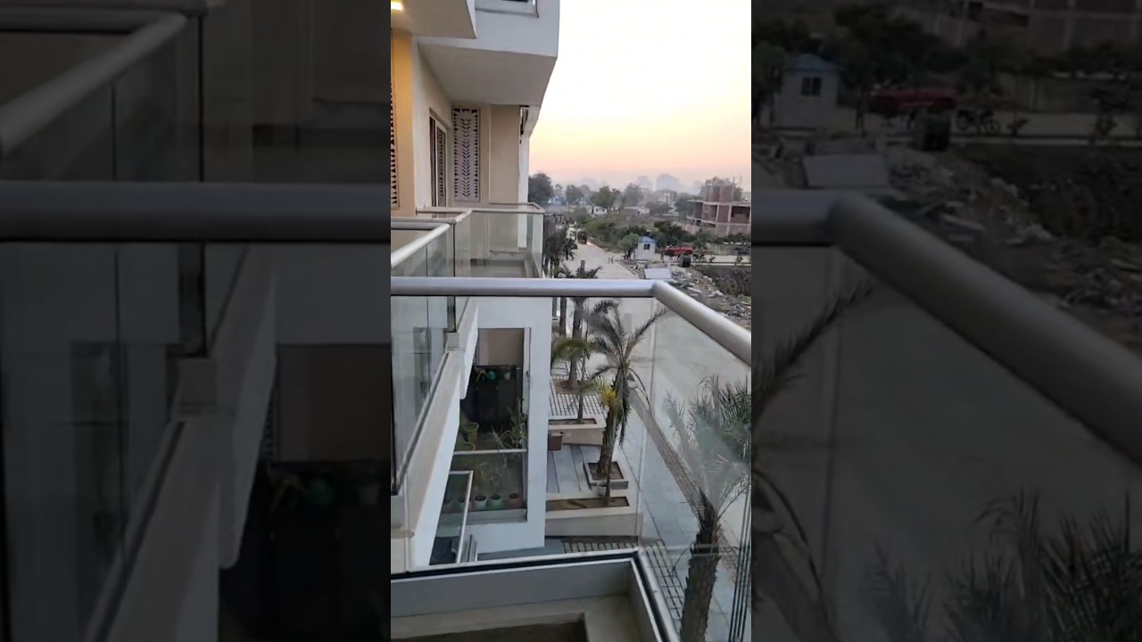Living dining room balcony of Ace palm floors - Oris 89 #nimprintzz #homeimprovement