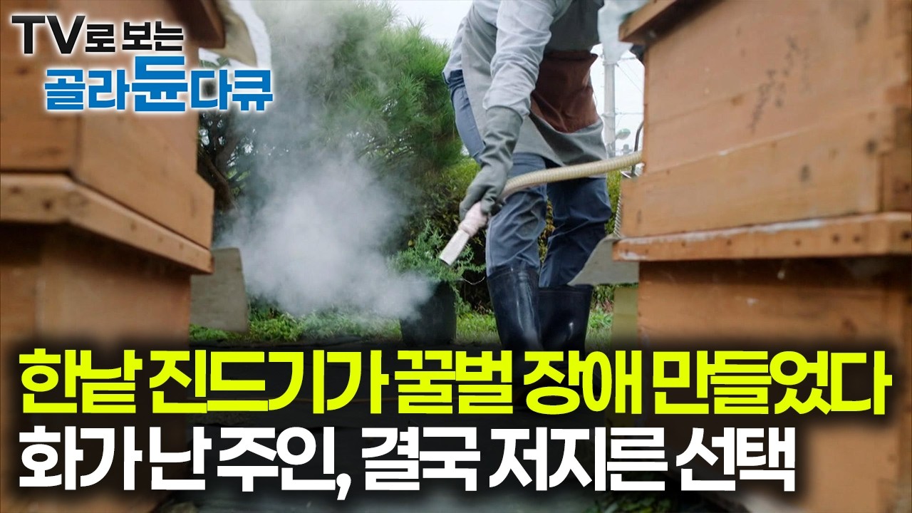 태어난 꿀벌들이 전부 날지를 못한다. 도대체 어디서 생겨난 걸까, 10달간 피 든든하게 빨아먹다 세상에 나온 응애 벌레의 최후｜꿀벌｜다큐프라임｜#골라듄다큐