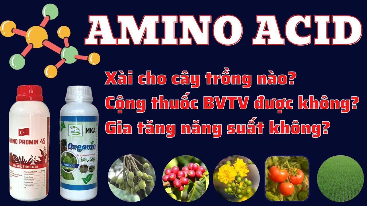 Amino acid là gì? Sử dụng cho cây trồng nào? Giai đoạn nào? Tốt không? Phối thuốc BVTV được không?