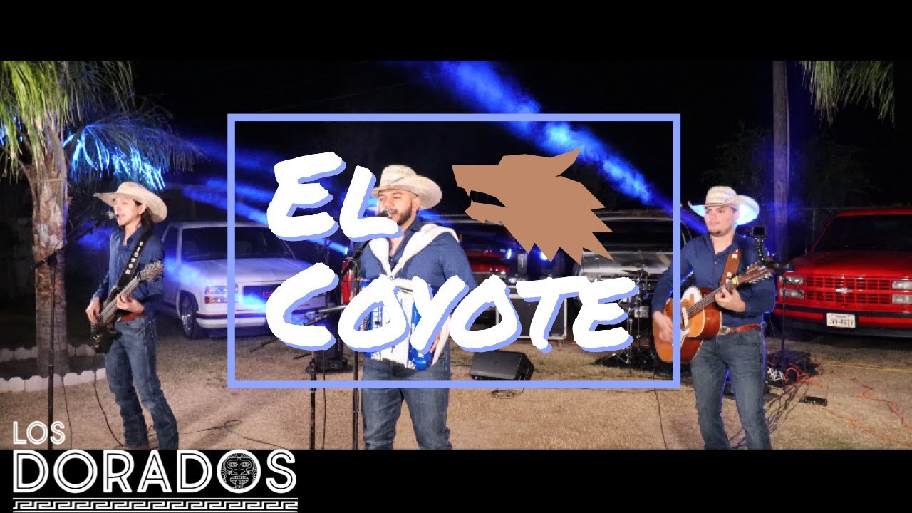 Los Dorados - El Coyote (En Vivo)