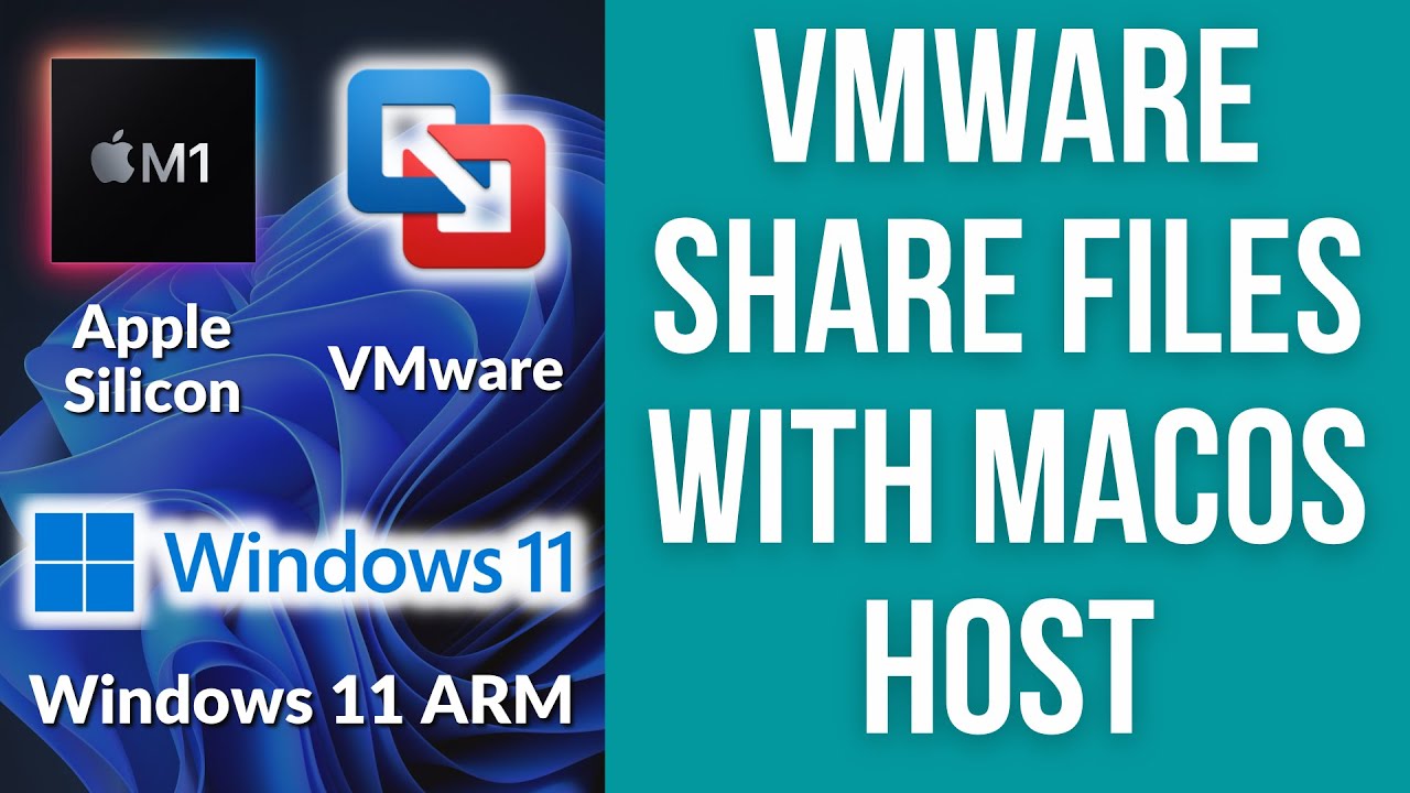 Как обмениваться файлами между гостевой ОС VMware Fusion Windows 11 ARM и хостом macOS без инстру...