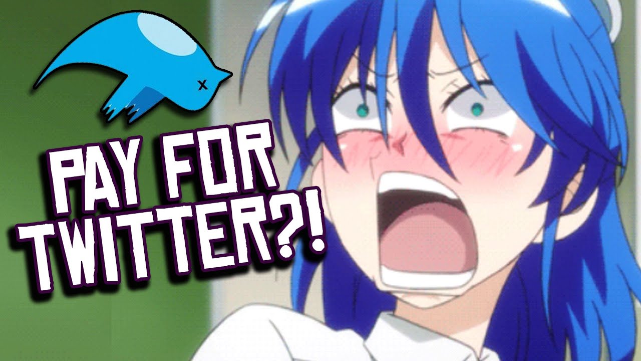 Twitter BLUES: Twitter Users FURIOUS About Paid Version of Twitter!