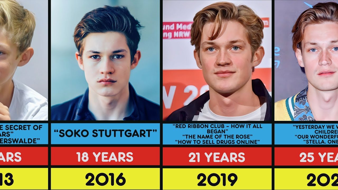 Damian Hardung Transformation From 2011 to 2024
