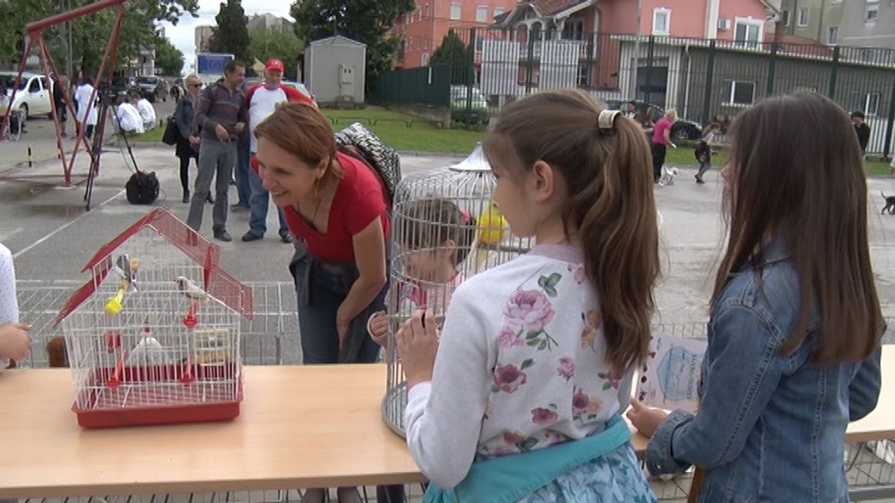Izložba 