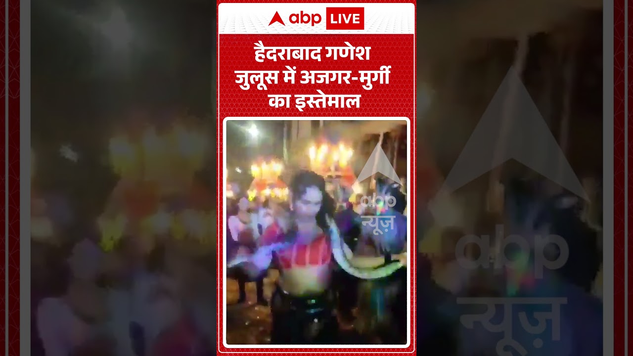 Ganpati Visarjan : हैदराबाद गणेश जुलूस में अजगर मुर्गी का इस्तेमाल #ytshorts #hyderabad #shorts