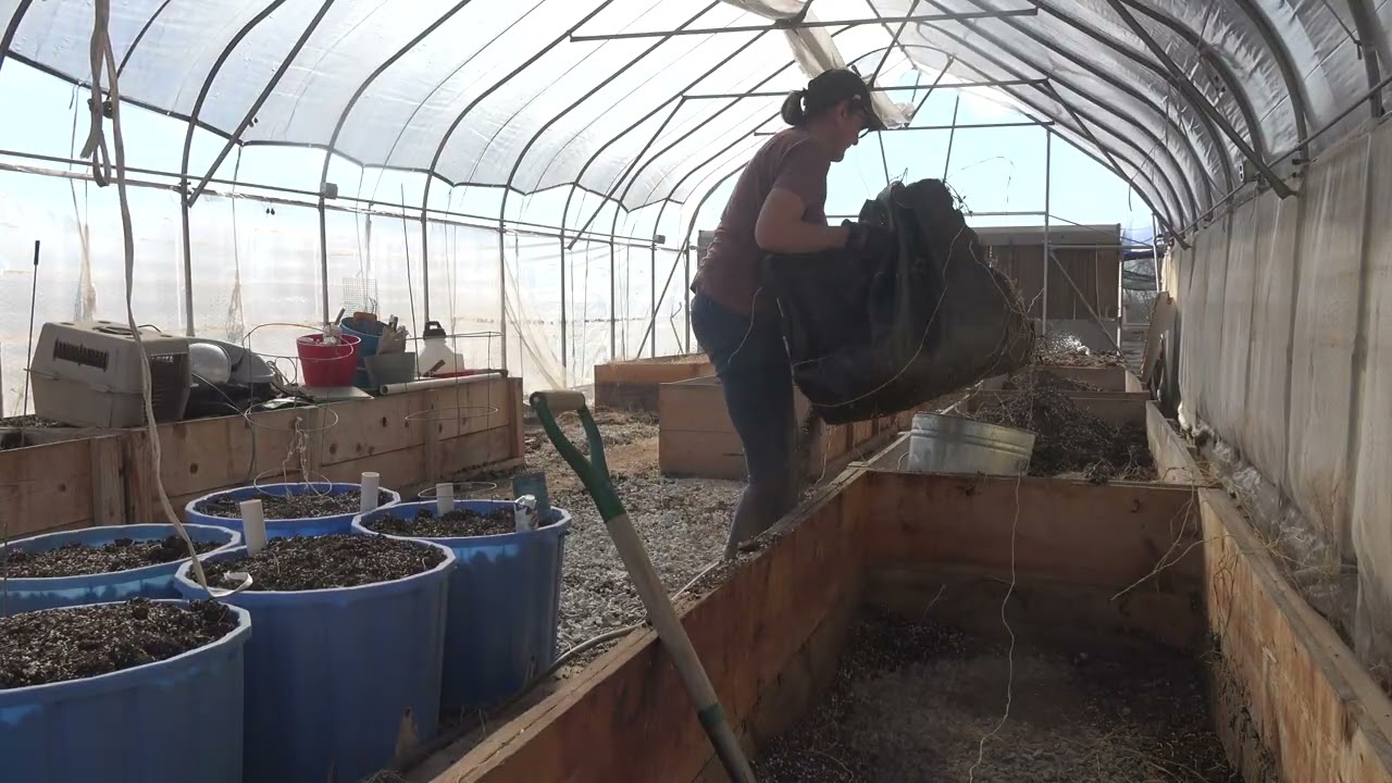 No. 0266 - Part 2 Greenhouse / Chicken Run Restructuring Project